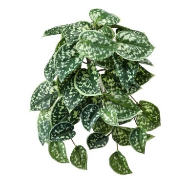 Scindapsus Pictus Bush  - Artificial floral - bulk sales artificial greenery